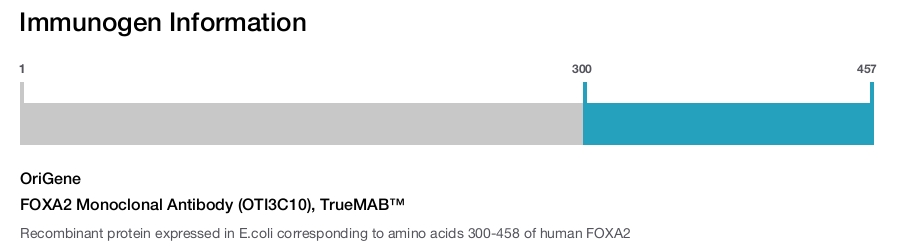 FOXA2 Monoclonal Antibody (OTI3C10), TrueMAB&trade;