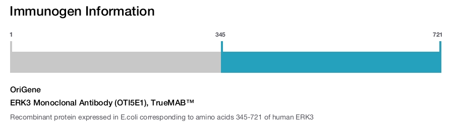 ERK3 Monoclonal Antibody (OTI5E1), TrueMAB&trade;
