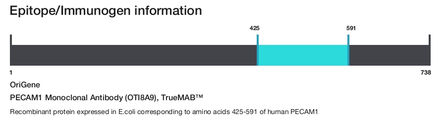 PECAM1 Monoclonal Antibody (OTI8A9), TrueMAB&trade;