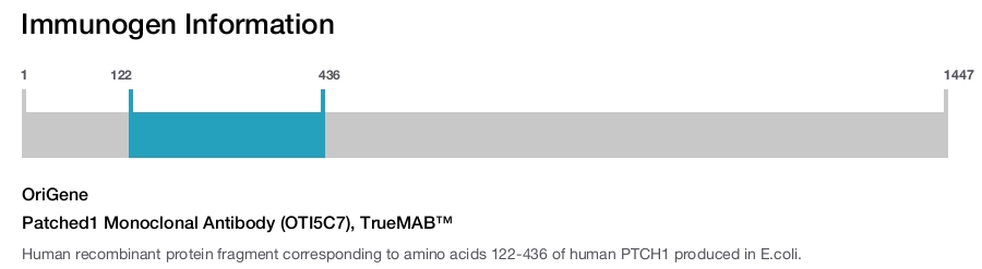 Patched1 Monoclonal Antibody (OTI5C7), TrueMAB&trade;