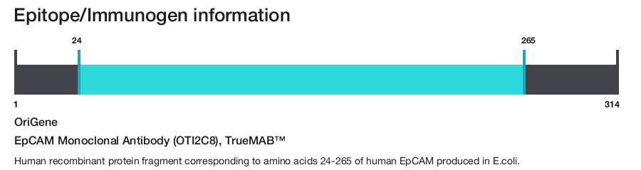 EpCAM Monoclonal Antibody (OTI2C8), TrueMAB&trade;