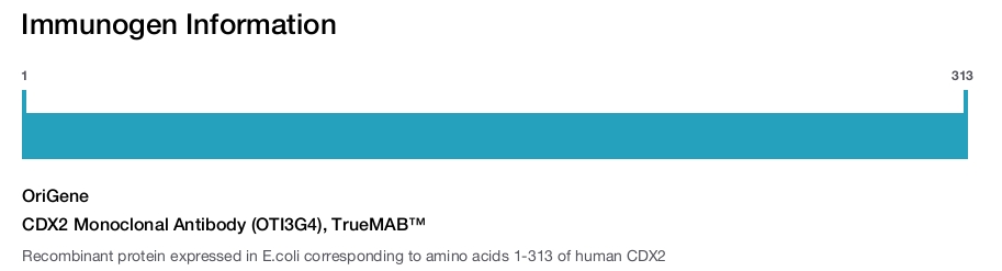 CDX2 Monoclonal Antibody (OTI3G4), TrueMAB&trade;