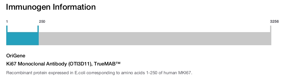 Ki67 Monoclonal Antibody (OTI3D11), TrueMAB&trade;