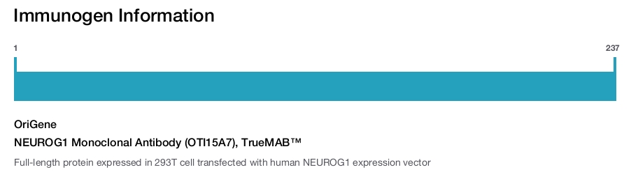 NEUROG1 Monoclonal Antibody (OTI15A7), TrueMAB&trade;