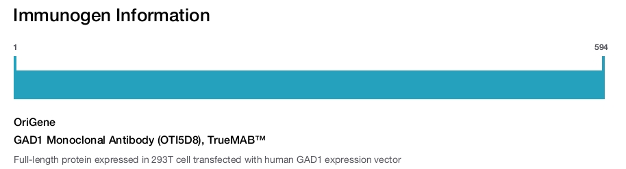 GAD1 Monoclonal Antibody (OTI5D8), TrueMAB&trade;