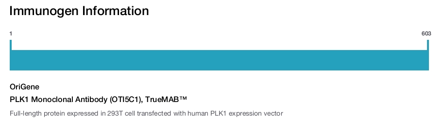 PLK1 Monoclonal Antibody (OTI5C1), TrueMAB&trade;