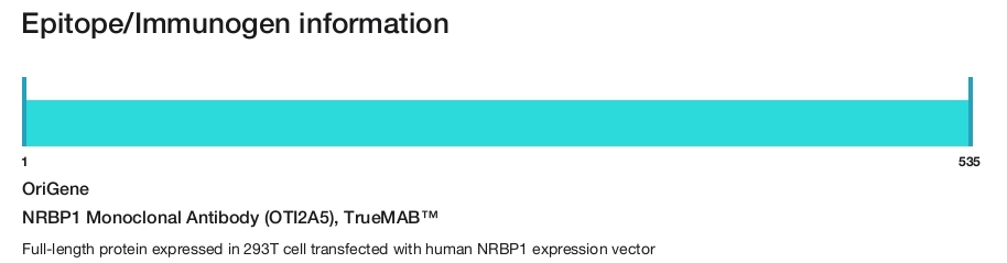 NRBP1 Monoclonal Antibody (OTI2A5), TrueMAB&trade;