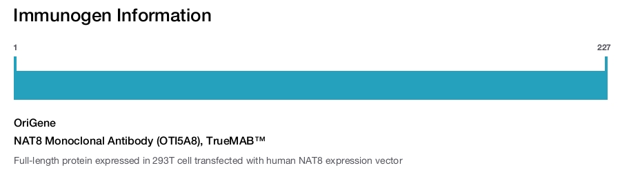 NAT8 Monoclonal Antibody (OTI5A8), TrueMAB&trade;
