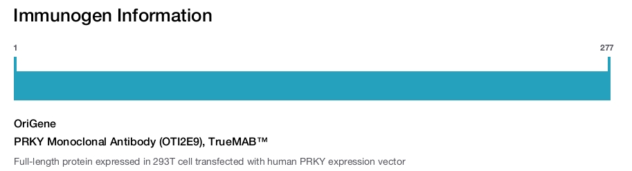 PRKY Monoclonal Antibody (OTI2E9), TrueMAB&trade;