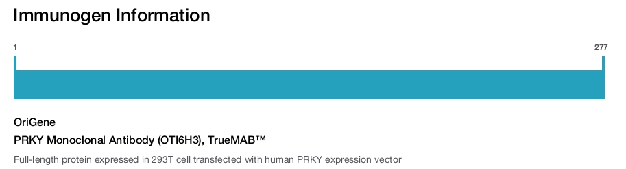 PRKY Monoclonal Antibody (OTI6H3), TrueMAB&trade;