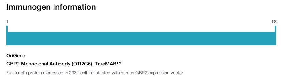 GBP2 Monoclonal Antibody (OTI2G6), TrueMAB&trade;