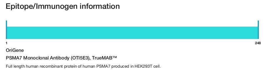 PSMA7 Monoclonal Antibody (OTI5E3), TrueMAB&trade;
