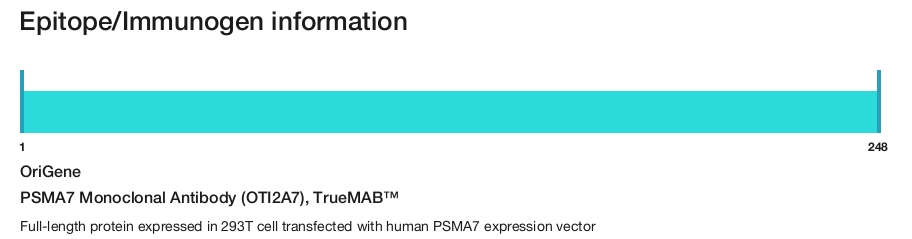 PSMA7 Monoclonal Antibody (OTI2A7), TrueMAB&trade;