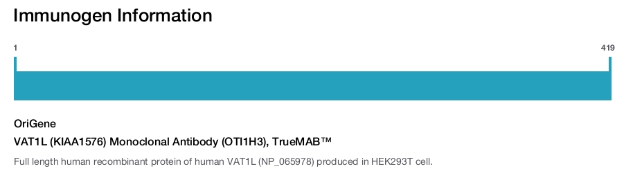 VAT1L (KIAA1576) Monoclonal Antibody (OTI1H3), TrueMAB&trade;