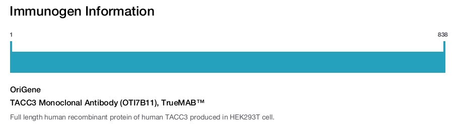 TACC3 Monoclonal Antibody (OTI7B11), TrueMAB&trade;