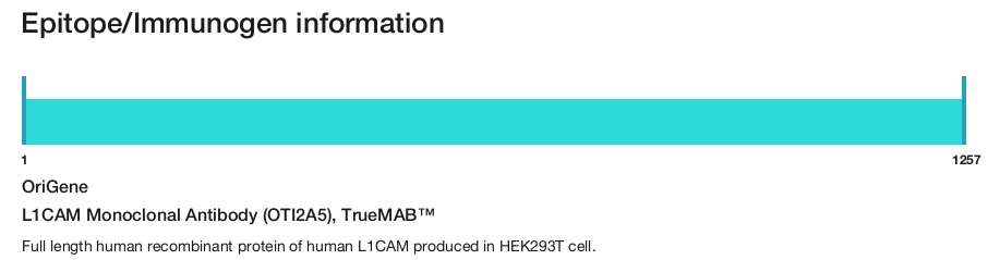 L1CAM Monoclonal Antibody (OTI2A5), TrueMAB&trade;