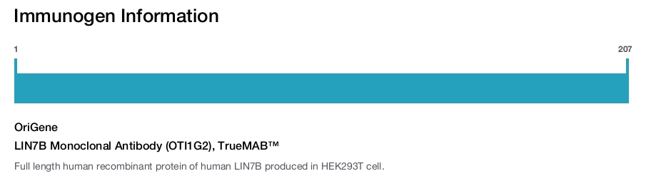 LIN7B Monoclonal Antibody (OTI1G2), TrueMAB&trade;