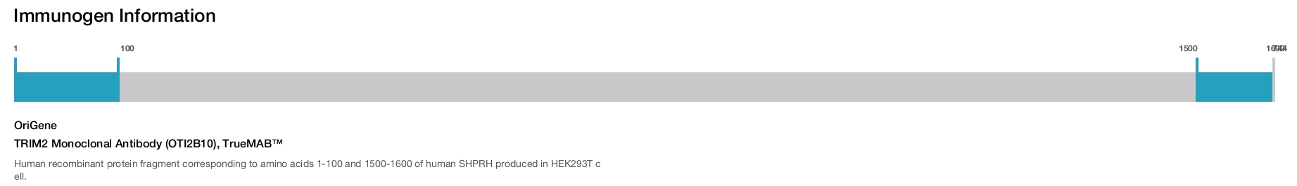 TRIM2 Monoclonal Antibody (OTI2B10), TrueMAB&trade;