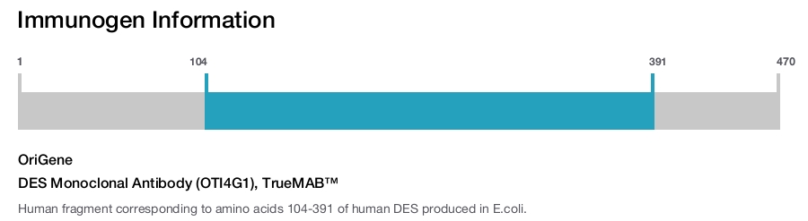 DES Monoclonal Antibody (OTI4G1), TrueMAB™