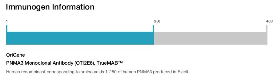 PNMA3 Monoclonal Antibody (OTI2E6), TrueMAB™