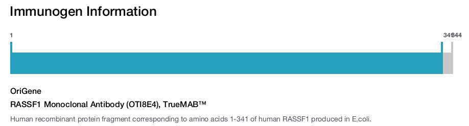 RASSF1 Monoclonal Antibody (OTI8E4), TrueMAB™