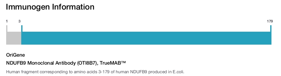 NDUFB9 Monoclonal Antibody (OTI8B7), TrueMAB&trade;