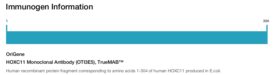 HOXC11 Monoclonal Antibody (OTI3E5), TrueMAB&trade;