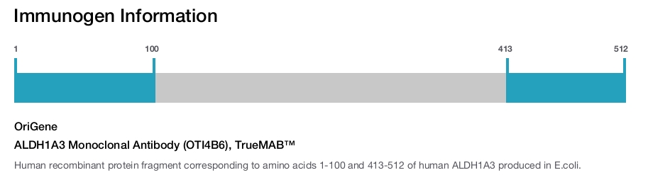 ALDH1A3 Monoclonal Antibody (OTI4B6), TrueMAB™