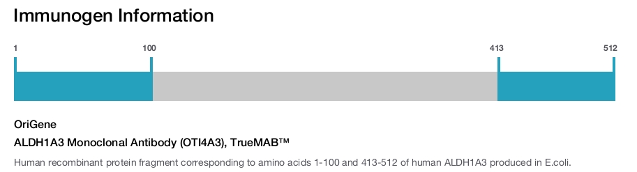 ALDH1A3 Monoclonal Antibody (OTI4A3), TrueMAB&trade;
