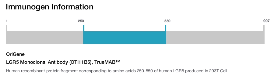 LGR5 Monoclonal Antibody (OTI11B5), TrueMAB&trade;