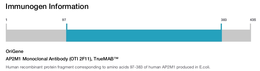 AP2M1 Monoclonal Antibody (OTI 2F11), TrueMAB&trade;