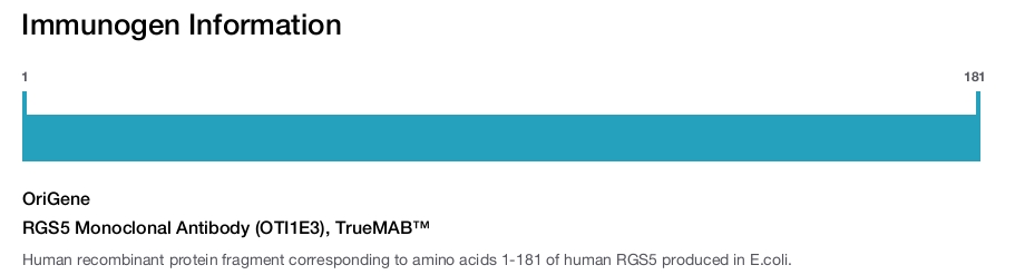 RGS5 Monoclonal Antibody (OTI1E3), TrueMAB&trade;