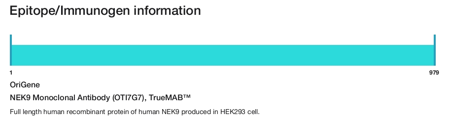 NEK9 Monoclonal Antibody (OTI7G7), TrueMAB&trade;