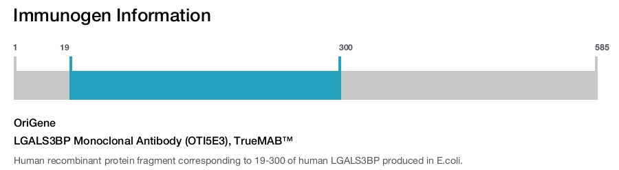 LGALS3BP Monoclonal Antibody (OTI5E3), TrueMAB&trade;