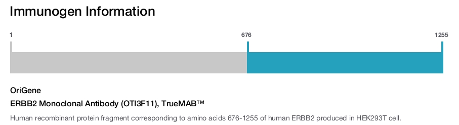 ERBB2 Monoclonal Antibody (OTI3F11), TrueMAB&trade;