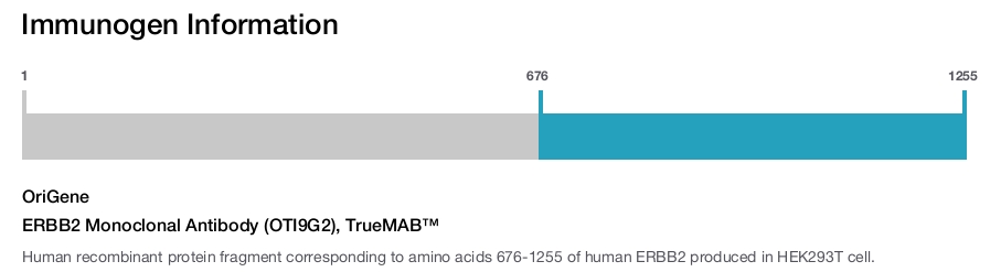 ERBB2 Monoclonal Antibody (OTI9G2), TrueMAB&trade;