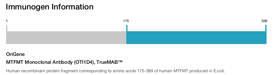 MTFMT Monoclonal Antibody (OTI1D4), TrueMAB&trade;