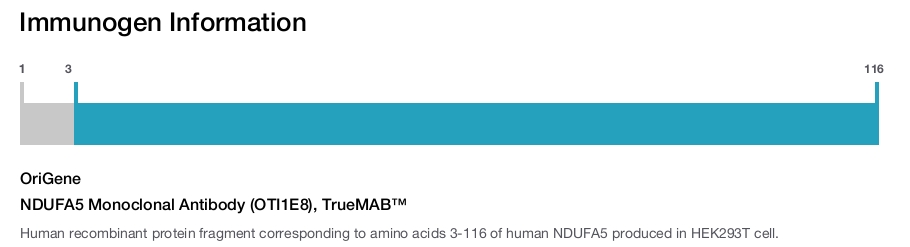 NDUFA5 Monoclonal Antibody (OTI1E8), TrueMAB&trade;