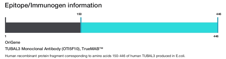 TUBAL3 Monoclonal Antibody (OTI5F10), TrueMAB&trade;