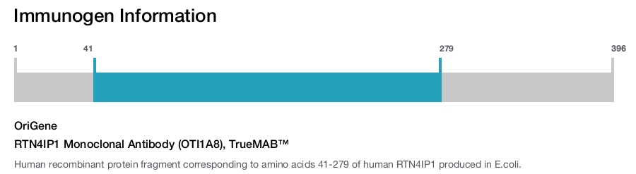 RTN4IP1 Monoclonal Antibody (OTI1A8), TrueMAB&trade;
