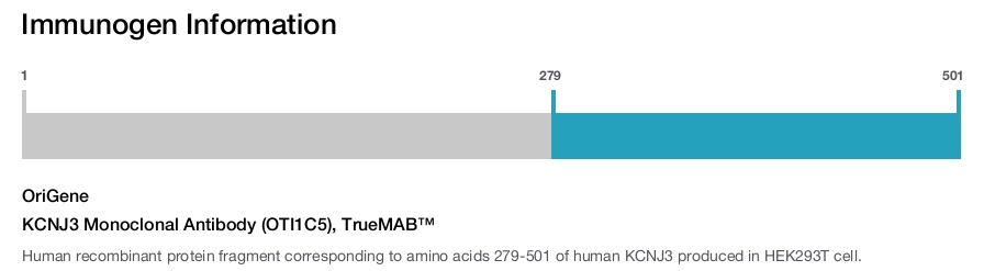 KCNJ3 Monoclonal Antibody (OTI1C5), TrueMAB&trade;