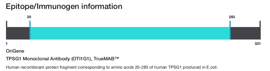 TPSG1 Monoclonal Antibody (OTI1G1), TrueMAB&trade;