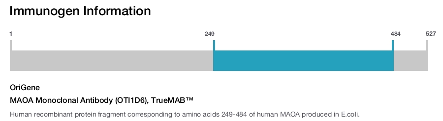 MAOA Monoclonal Antibody (OTI1D6), TrueMAB&trade;