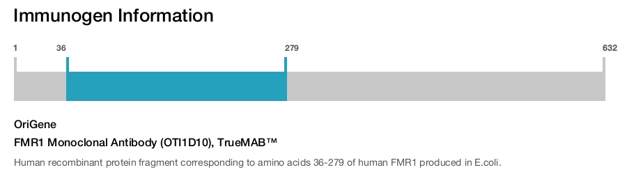 FMR1 Monoclonal Antibody (OTI1D10), TrueMAB&trade;