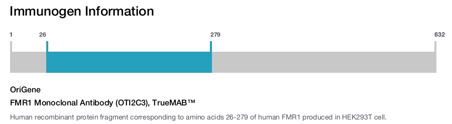 FMR1 Monoclonal Antibody (OTI2C3), TrueMAB&trade;