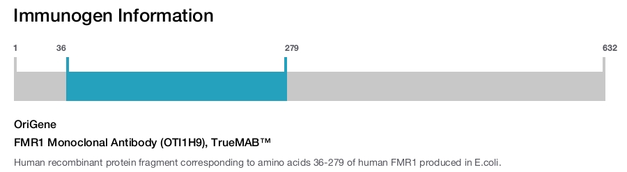 FMR1 Monoclonal Antibody (OTI1H9), TrueMAB&trade;