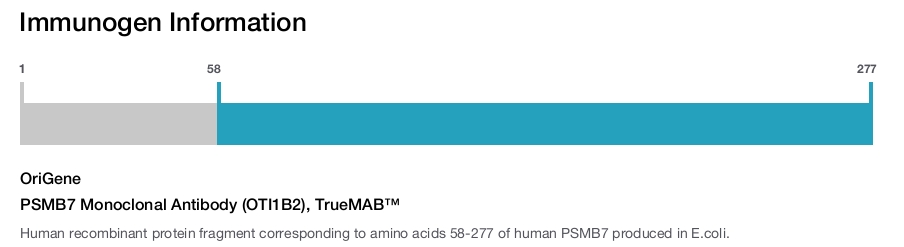 PSMB7 Monoclonal Antibody (OTI1B2), TrueMAB&trade;