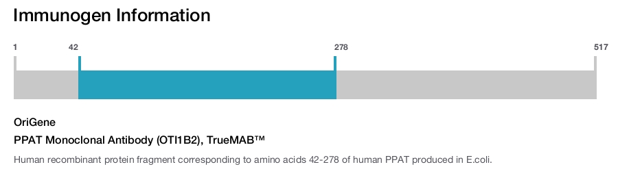 PPAT Monoclonal Antibody (OTI1B2), TrueMAB&trade;