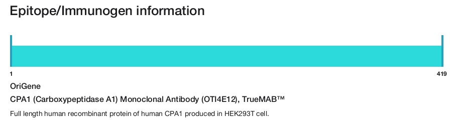 CPA1 (Carboxypeptidase A1) Monoclonal Antibody (OTI4E12), TrueMAB&trade;