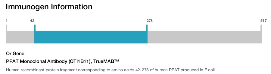 PPAT Monoclonal Antibody (OTI1B11), TrueMAB&trade;